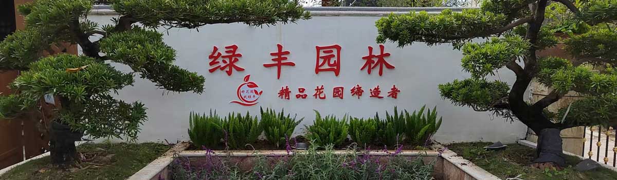 ��˾����