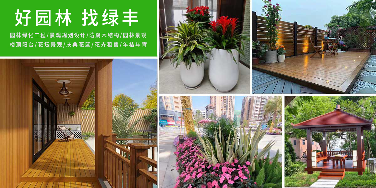 ��˾����