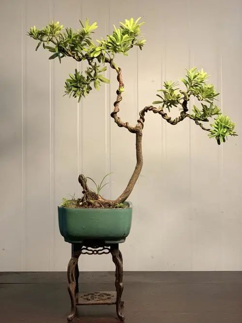 �����޺���